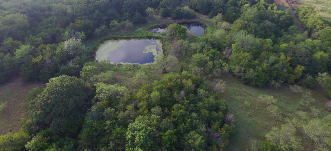 Prime Prairie